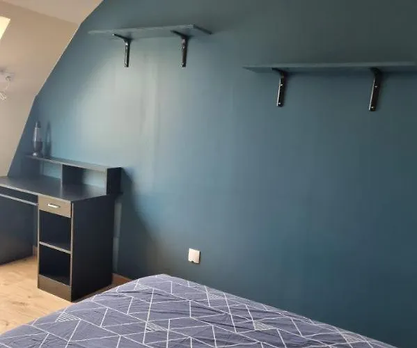 Proches Du Circuit Des 24 Du Mans, Au Calme ホームステイ